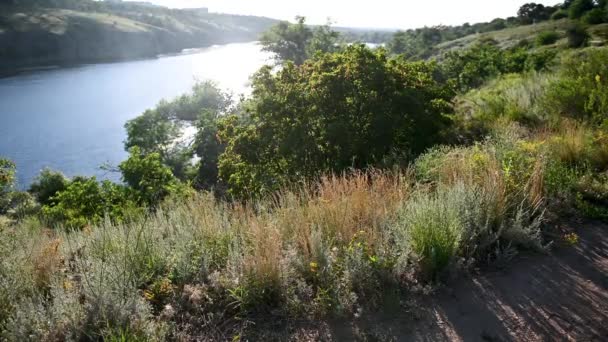 Beau paysage au coucher du soleil. Un vent léger balaie l'herbe et les arbres