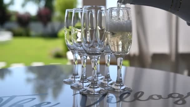 Barkeeper gießt Champagner in ein Glas aus einer Flasche Nahaufnahme — Stockvideo