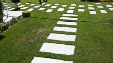 Parktaki yeşil çimlerde taş döşeme yolu