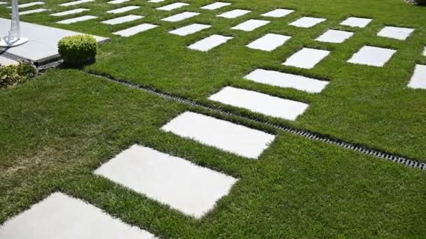 Кам'яна плитка на зеленій траві в парку — стокове відео