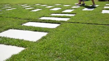 Parktaki yeşil çimlerde taş döşeme yolu