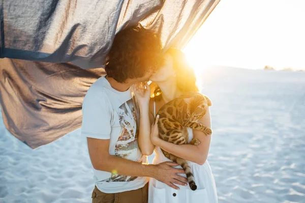 Um homem bonito com cabelo encaracolado abraça suavemente o seu amado. Eles têm um gato nas mãos. — Fotografia de Stock