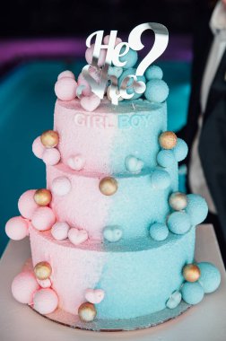 Büyük ve lezzetli pembe ve mavi bebek cinsiyeti parti pastasını gözler önüne seriyor