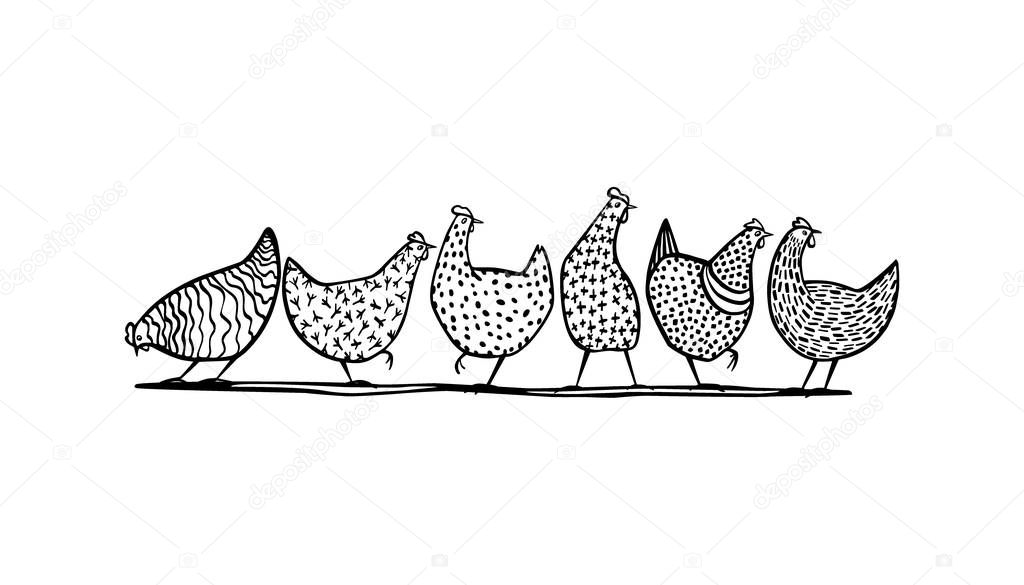 Vector illustration of hand drawn chickens. Beautiful ink drawing, heavy contour, abstract design elements. Perfect elements for food or farming design.