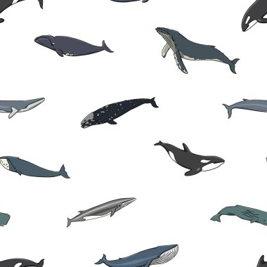 Elle çizilmiş balina desen