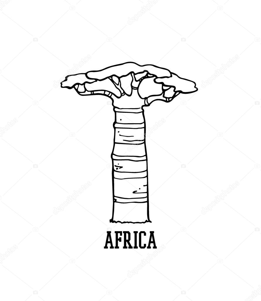 Hand drawn baobab 