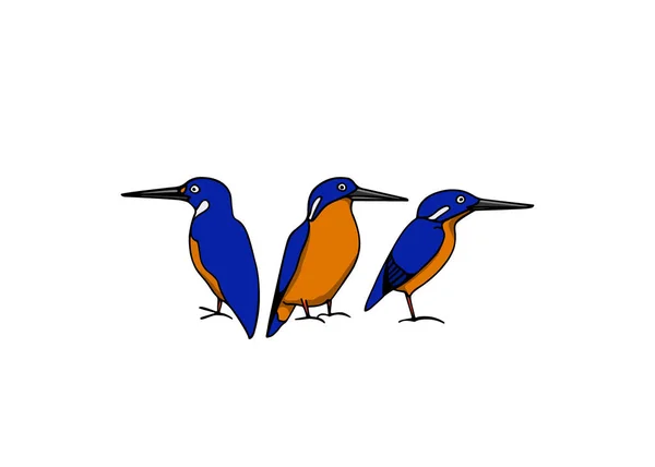 Ручные птицы — стоковый вектор