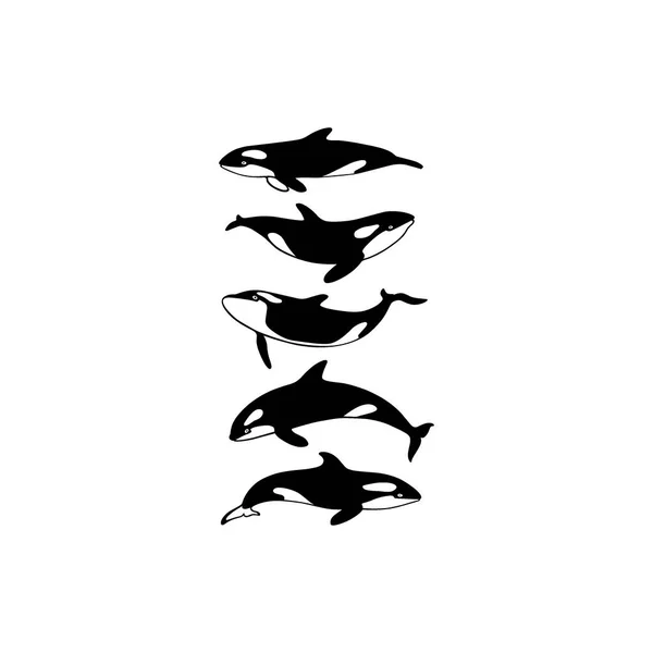 Ballenas asesinas tiradas a mano — Vector de stock