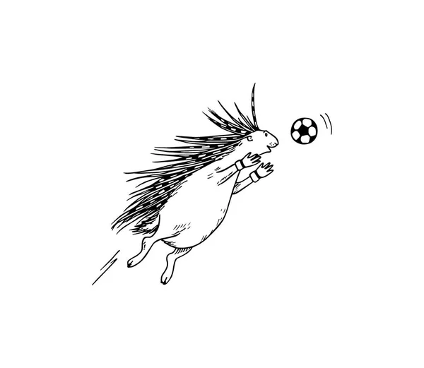 Рука намальована дикобраза грає в футбол — стоковий вектор