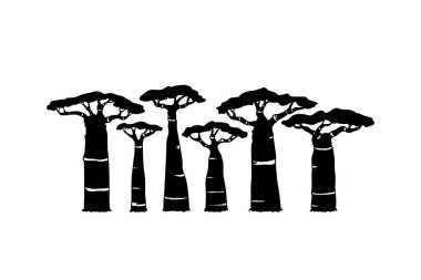 El yapımı baobab.