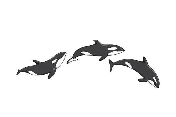 Balene assassine disegnate a mano — Vettoriale Stock