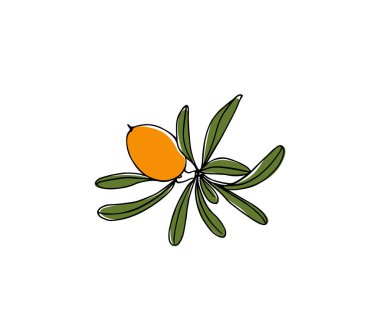 Elle çizilmiş argan ağacı dalı