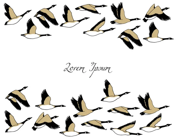 Hand drawn wild geese — Stock Vector