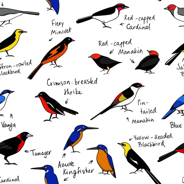 Ручной рисунок птиц — стоковый вектор