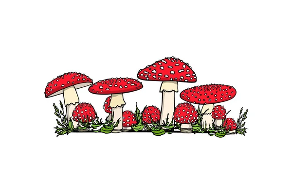 Champignon dessiné à la main — Image vectorielle