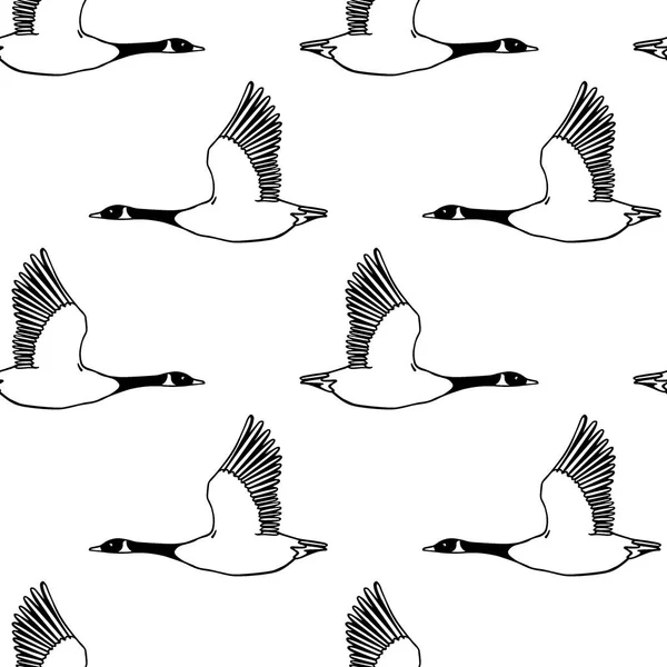 手绘野鹅图案 — 图库矢量图片