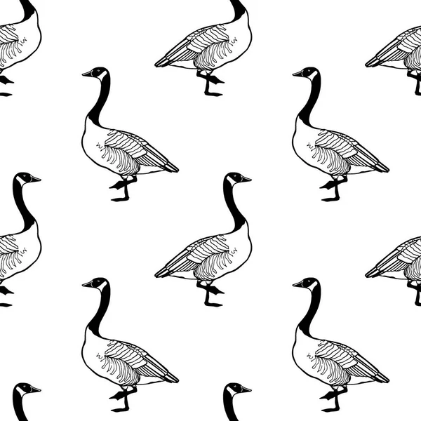 手绘野鹅图案 — 图库矢量图片