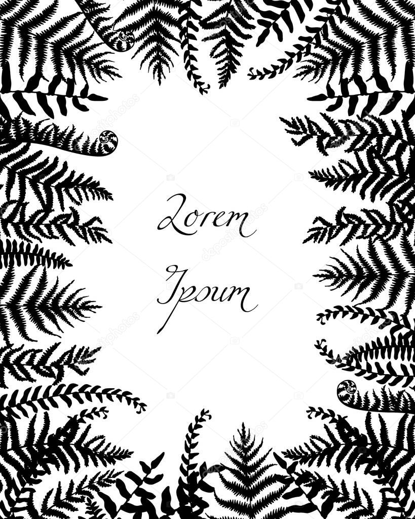 Vector card with hand drawn black fern leaves. Ink drawing, beautiful floral design elements.
