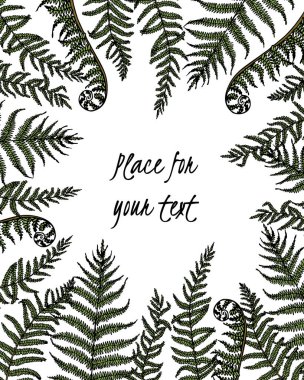 Fern yaprak el çekilmiş