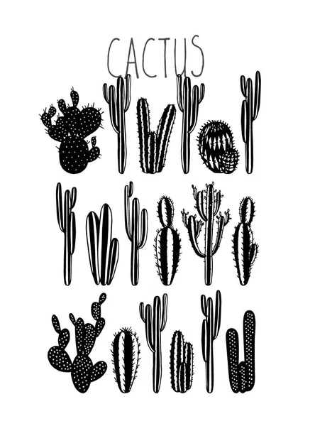 Kézzel húzott kaktusz — Stock Vector