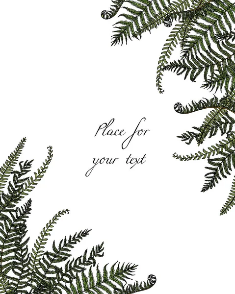 Hand drawn fern leaf Royalty Free Stock Illustrations