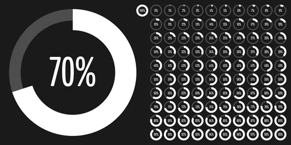 Set Diagrammi Percentuali Cerchio 100 Pronto All Uso Web Design — Vettoriale Stock