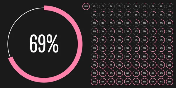 Set Van Diagrammen Een Cirkel Percentage Van Tot 100 Kant — Stockvector