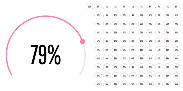 Serie Diagrammi Percentuali Del Settore Circolare 100 Pronti All Uso — Vettoriale Stock