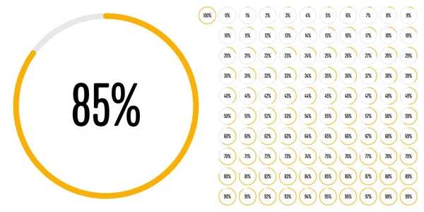 Conjunto Diagramas Percentuais Círculo Metros 100 Pronto Usar Para Web —  Vetores de Stock