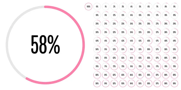 Jeu Diagrammes Circulaires Pourcentage Mètres 100 Prêt Emploi Pour Conception — Image vectorielle