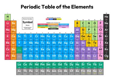 Elementler Vektör İllüstrasyonunun Renkli Periyodik Tablosu atom numarası, sembol, isim, kısaltılmış standart atom ağırlığı, maddenin durumu ve element kategorisini gösterir