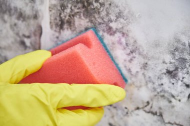 Kat görevlileri el ile sünger ve püskürtülen ilaç şişe ile duvar kalıp temizlik eldiveni