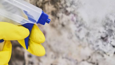 Kat görevlileri el ile sünger ve püskürtülen ilaç şişe ile duvar kalıp temizlik eldiveni