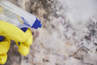 Kat görevlileri el ile sünger ve püskürtülen ilaç şişe ile duvar kalıp temizlik eldiveni