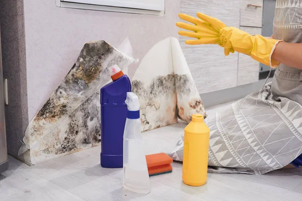 Housekeepers Hand With Glove Cleaning Mold From Wall With Sponge And Spray Bottle