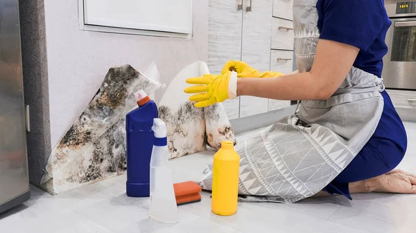 Housekeepers mão com luva mofo de limpeza da parede com esponja e spray garrafa — Fotografia de Stock