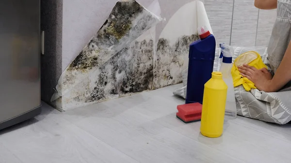 Housekeepers Hand With Glove Cleaning Mold From Wall With Sponge And Spray Bottle — Stock Image Housekeepers Hand With Glove Cleaning Mold From Wall With Sponge And Spray Bottle Royalty Free Stock Photos