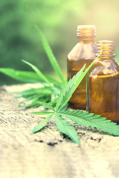 Hanfblätter Auf Holzgrund Samen Cannabisöl Extraktgläser — Stockfoto