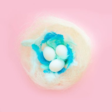 paskalya için renkli arka plan, mavi tüyleri ile bir yuvada yumurta