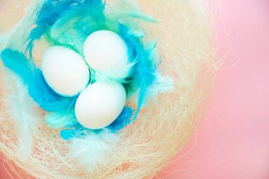 paskalya için renkli arka plan, mavi tüyleri ile bir yuvada yumurta