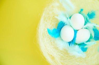 paskalya için renkli arka plan, mavi tüyleri ile bir yuvada yumurta