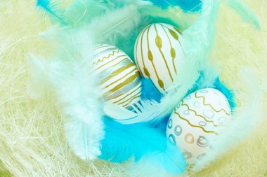 paskalya için renkli arka plan, mavi tüyleri ile bir yuvada yumurta
