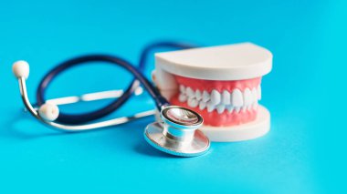 Beyaz dişler modeli ve mavi zemin üzerine stakescope. Diş Bakımı. oral kavite önleyici incelenmesi kavramı.