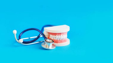 Beyaz dişler modeli ve mavi zemin üzerine stakescope. Diş Bakımı. oral kavite önleyici incelenmesi kavramı.