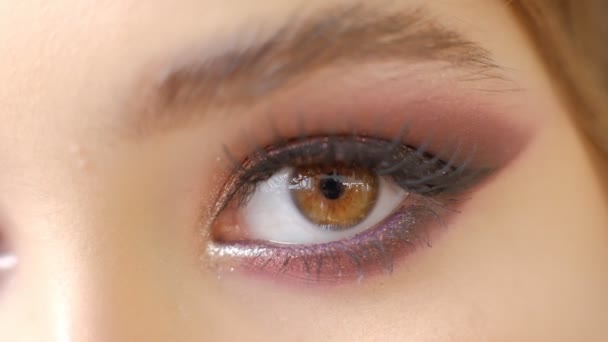 Beautiful Woman Brown eye holiday makeup. Make-up close-up. Young Woman eye macro shoot. Smokey, Smoky eyes. — Stock Video