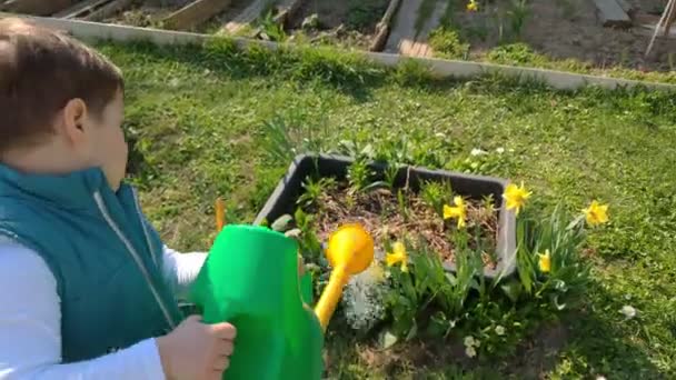 В солнечный день мальчик поливает банку из сада маленьким садом. Ребенок очень счастлив и улыбается — стоковое видео