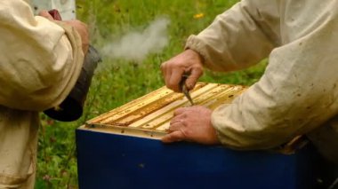 yavaş çekim. Arıcı bal topluyor. arıcı, arı dolu bir petek tutuyor. apiary de petek çerçeve inceleyen koruyucu iş kıyafeti.