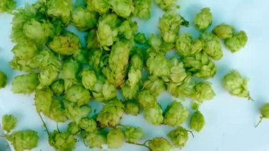 yavaş çekimde beyaz masa üstü görünümüne düşen hops.