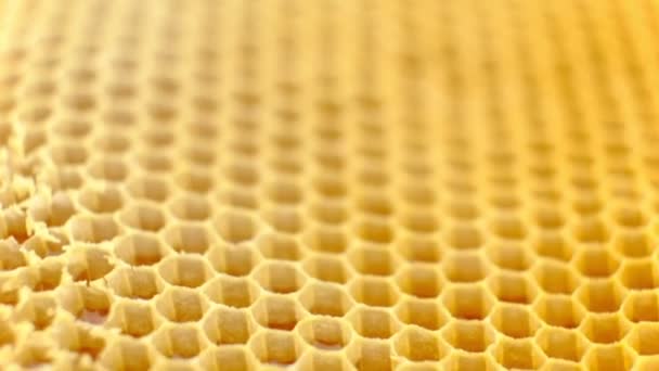 Pente de mel. Fragmento de imitação de favo de mel de plástico. Contexto abstrato . — Vídeo de Stock