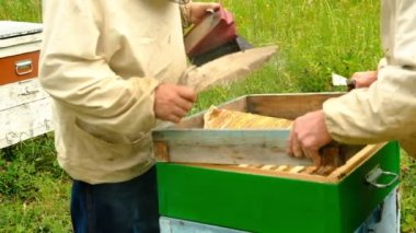 yavaş çekim. Arıcı bal topluyor. arıcı, arı dolu bir petek tutuyor. apiary de petek çerçeve inceleyen koruyucu iş kıyafeti.